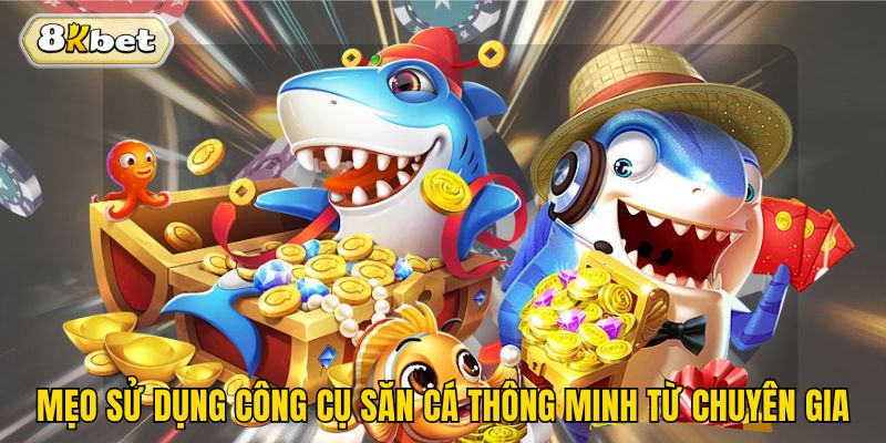 Mẹo sử dụng công cụ săn cá thông minh từ chuyên gia