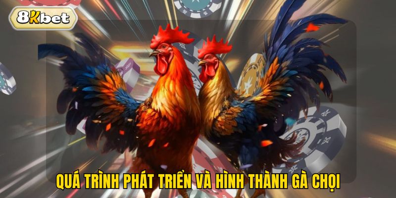 Quá trình phát triển và hình thành gà chọi