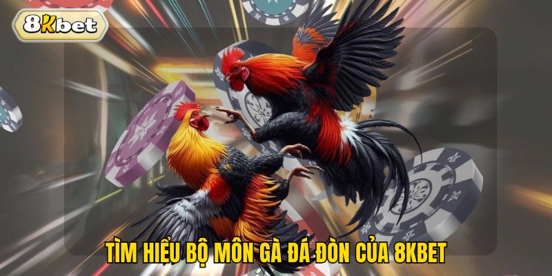 Tìm hiểu bộ môn gà đá đòn của 8kbet
