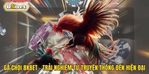 Gà Chọi 8kbet - Trải Nghiệm Từ Truyền Thống Đến Hiện Đại