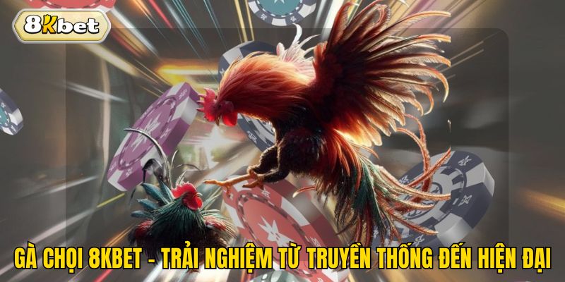 Gà Chọi 8kbet - Trải Nghiệm Từ Truyền Thống Đến Hiện Đại