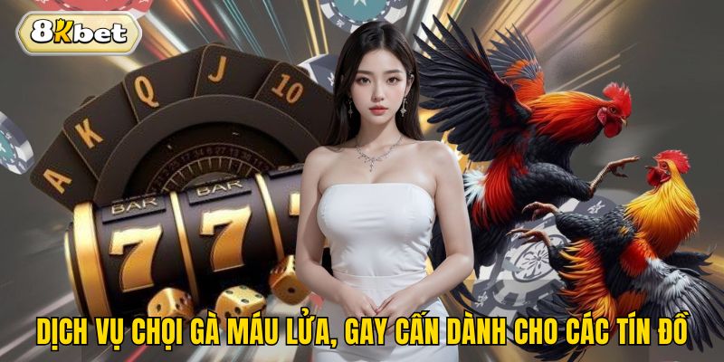 Dịch vụ chọi gà máu lửa, gay cấn dành cho các tín đồ