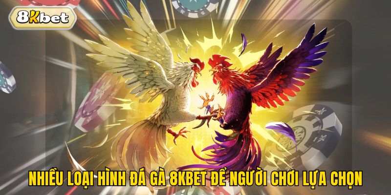 Nhiều loại hình đá gà 8kbet để người chơi lựa chọn 