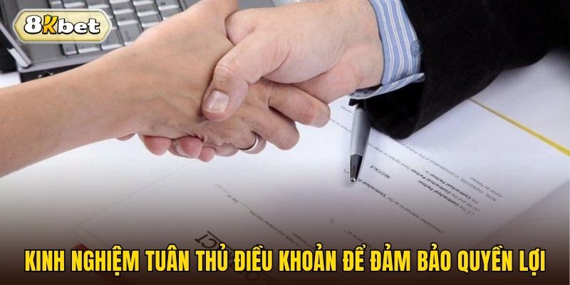 Kinh nghiệm tuân thủ điều khoản để đảm bảo quyền lợi 